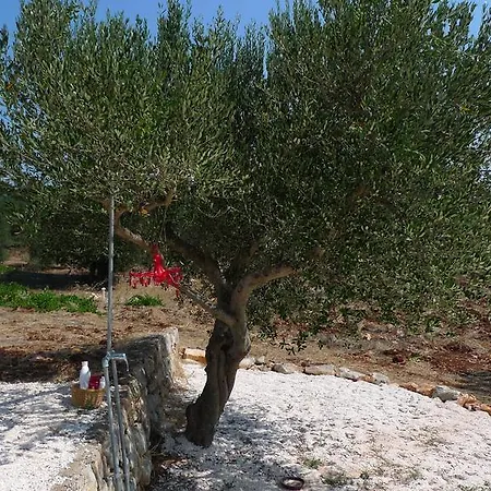 Trulleria Frammarinella *